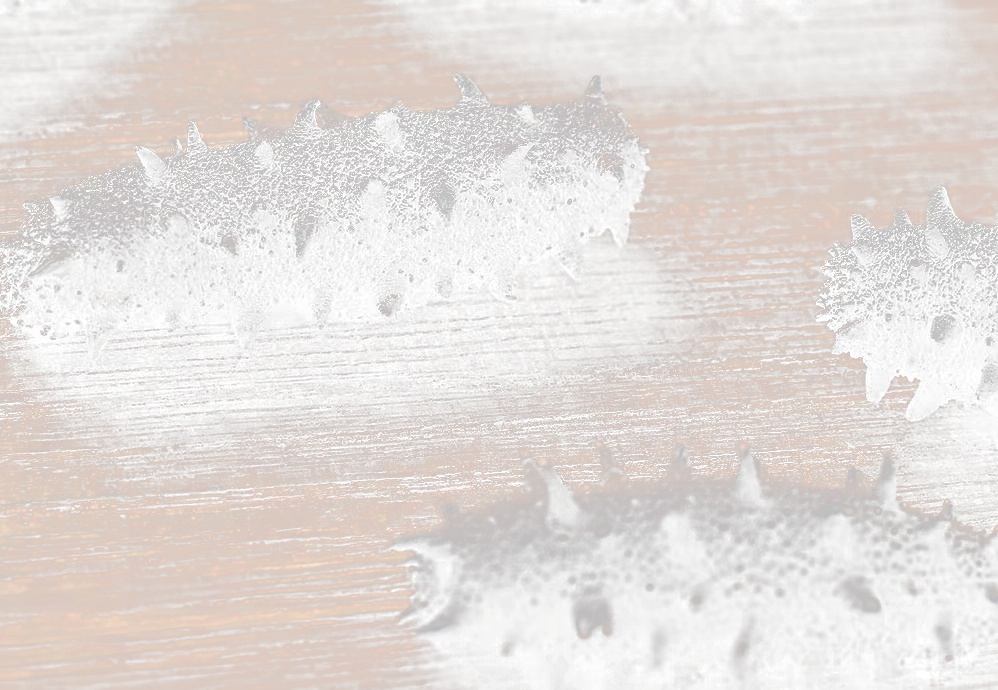 北京小程序開(kāi)發(fā)，海參電商小程序開(kāi)發(fā)該如何運(yùn)營(yíng)？