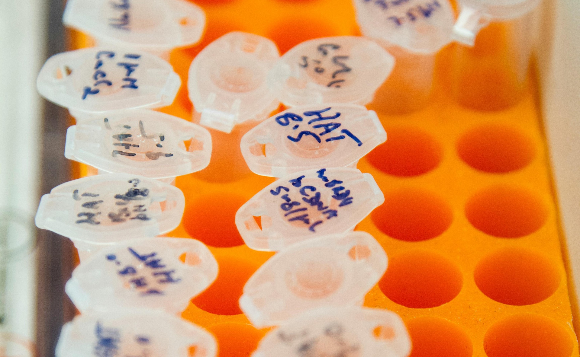 醫(yī)學(xué)知識檢索