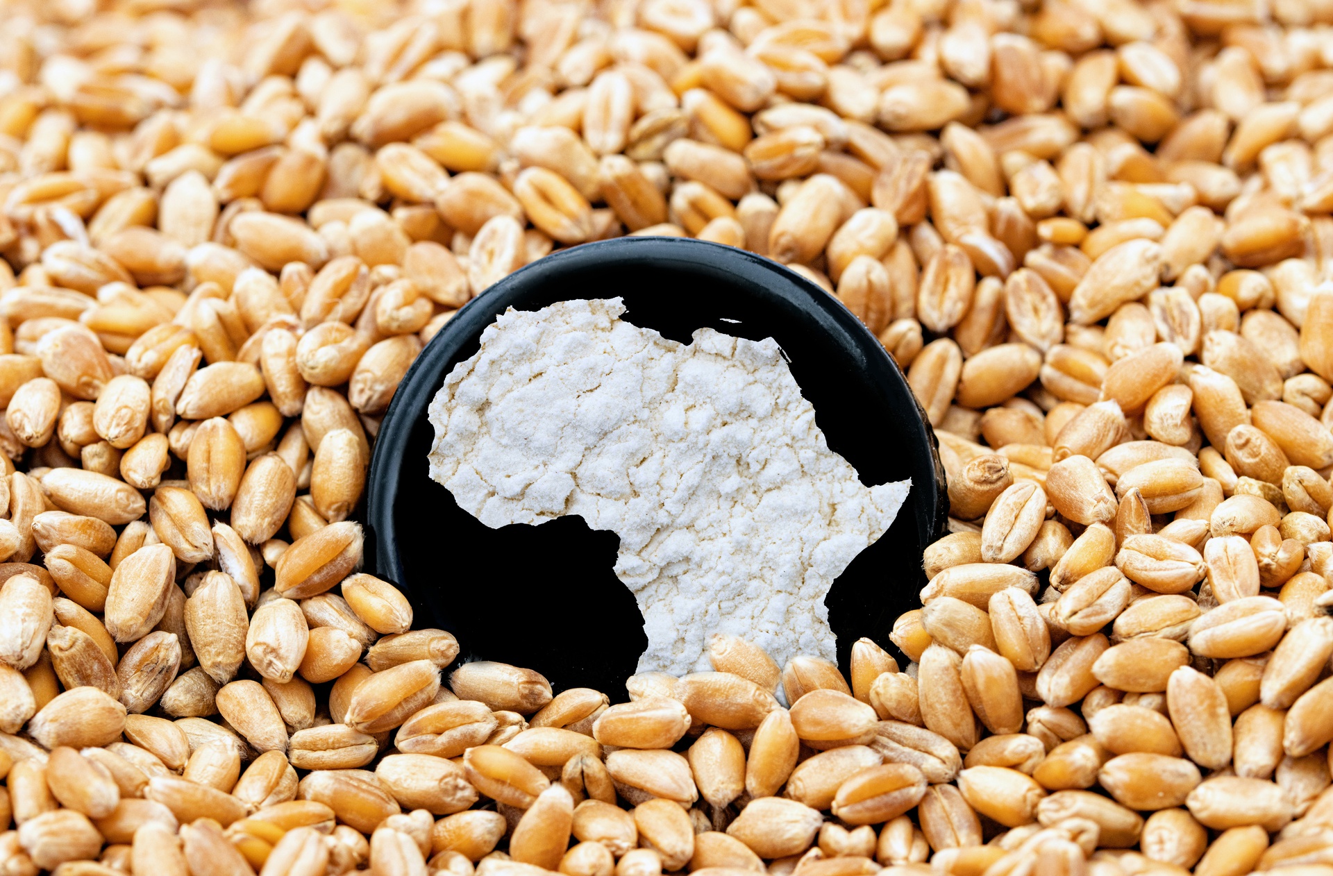 北京糧食飼料原料購(gòu)銷app開(kāi)發(fā)，購(gòu)銷一鍵連接