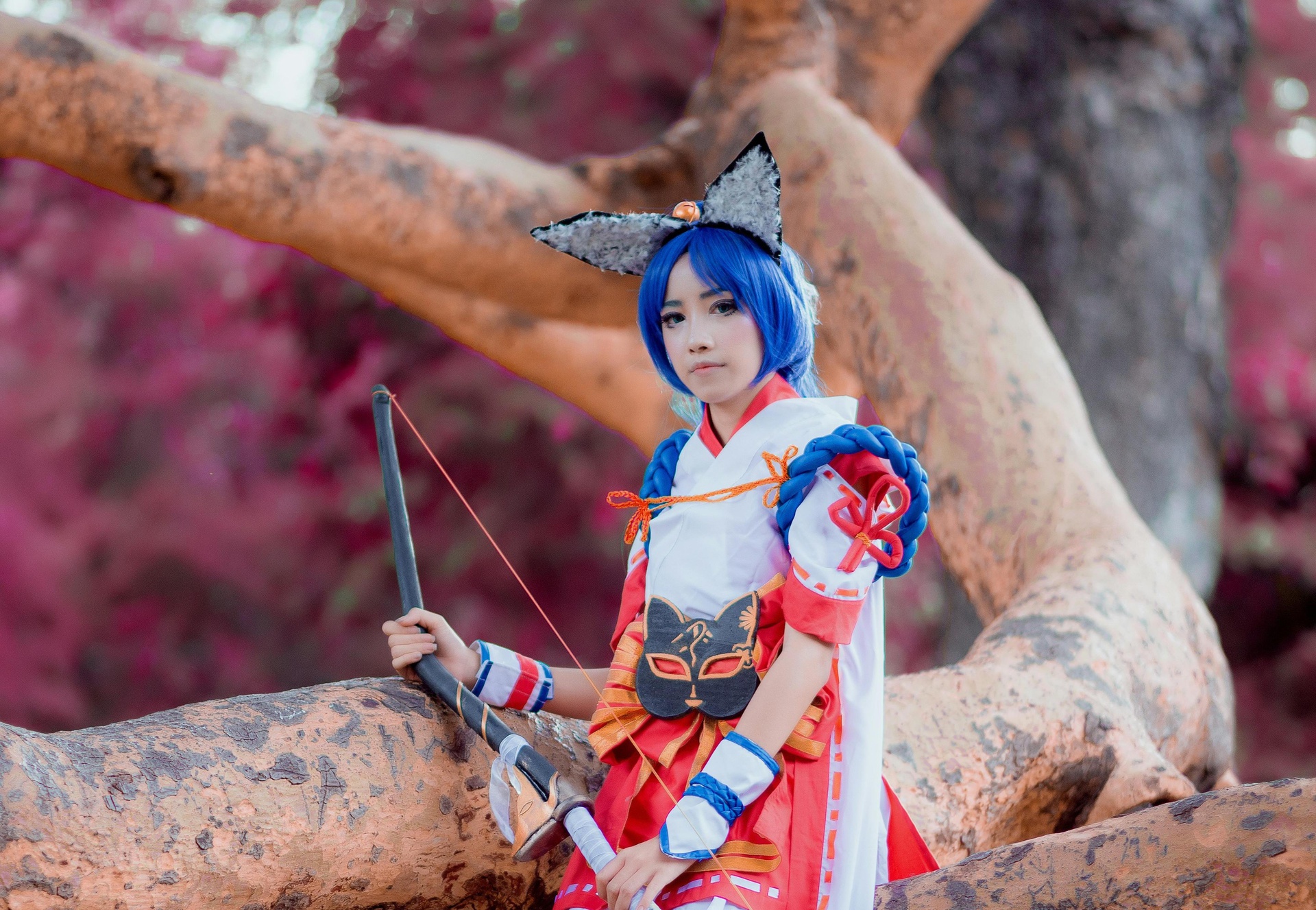 二次元活動(dòng)資訊