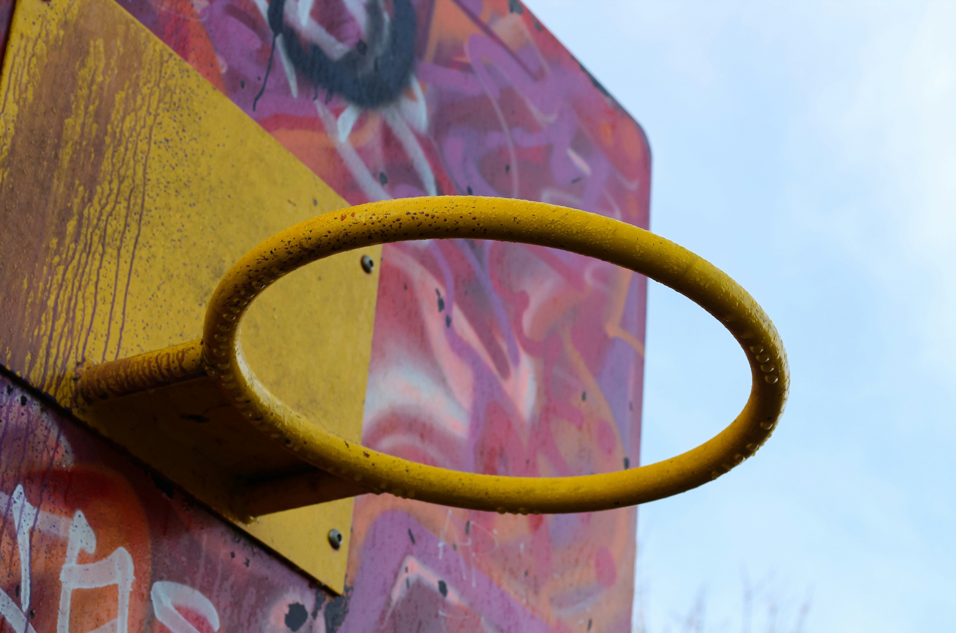 運(yùn)動活動報(bào)名