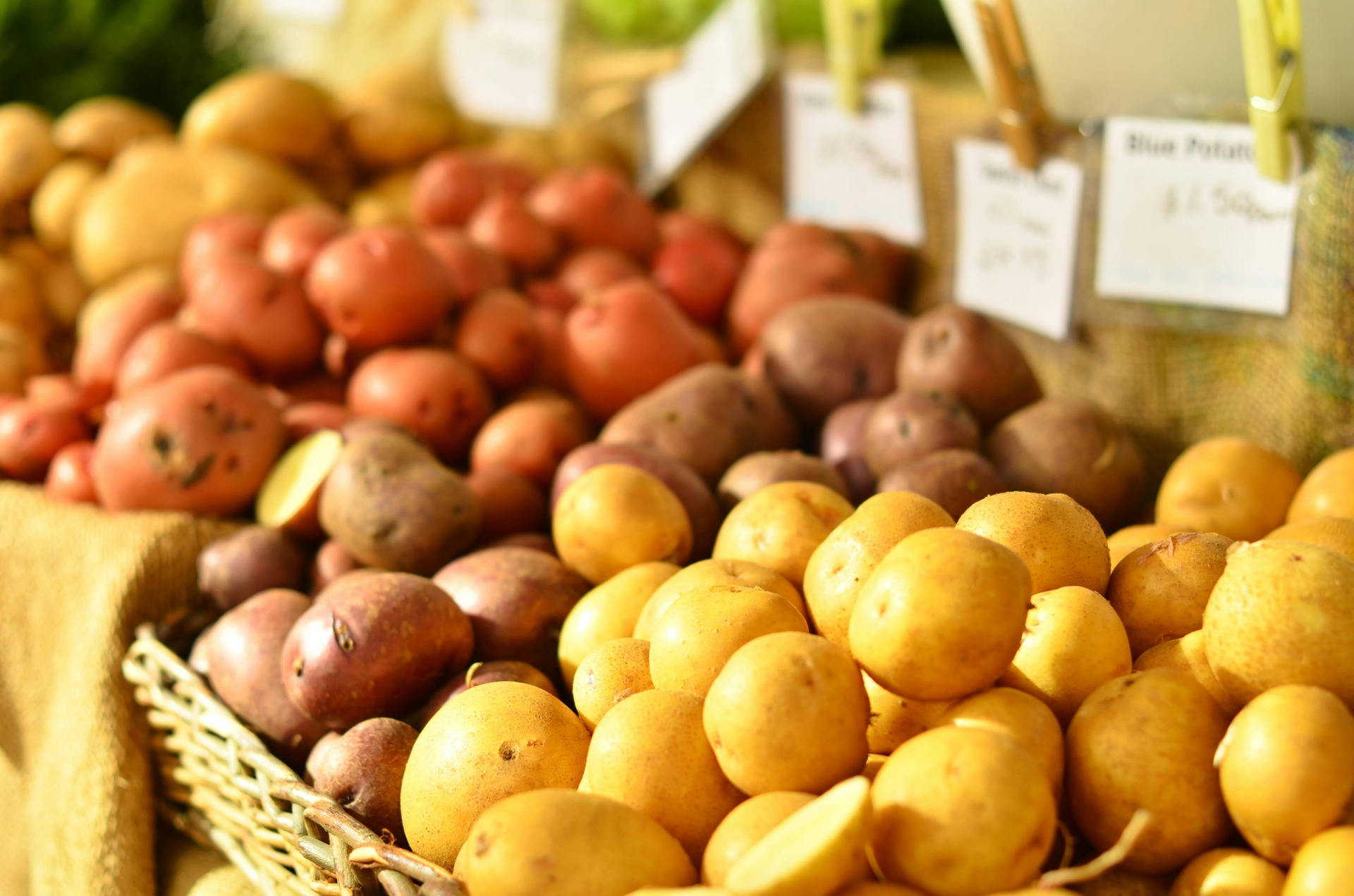 市場(chǎng)行情數(shù)據(jù)