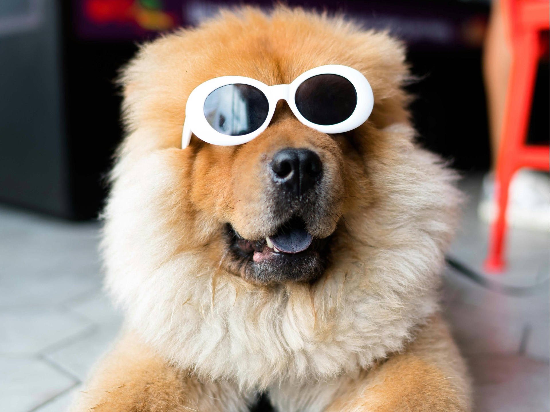 北京娛樂搞笑類App開發(fā)，開啟歡樂新引擎