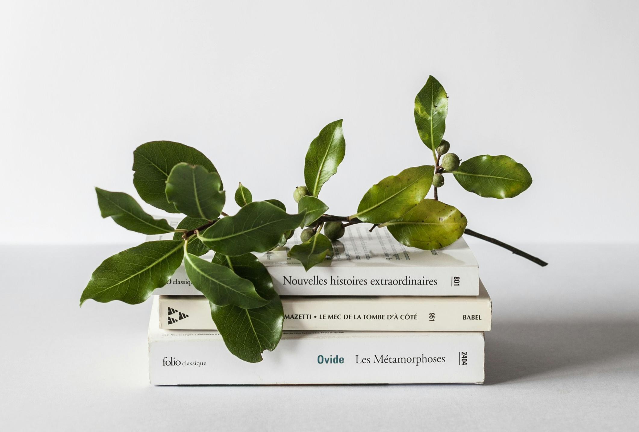 煙臺誦讀配樂小程序開發(fā)有哪些核心功能？