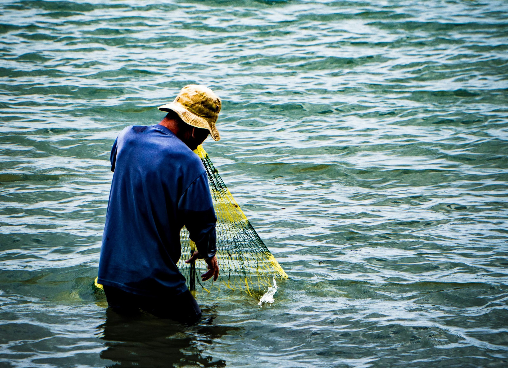 唐山水產養(yǎng)殖App開發(fā)，打造智能化魚塘管家
